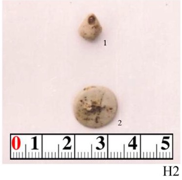 568e7a29-414a-4a91-94ed-9621489b40e2 (1)