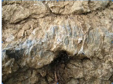 Vết mòn đường đi cổ có niên đại 8 - 9 ngàn năm tại hang xóm Trại - Hòa Bình