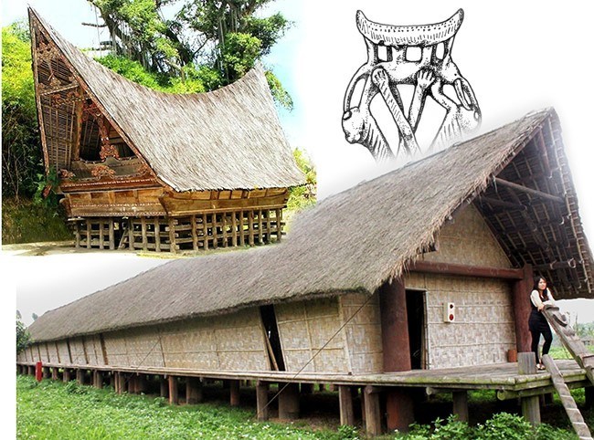 Can-dao-gam-Dong-Son-073