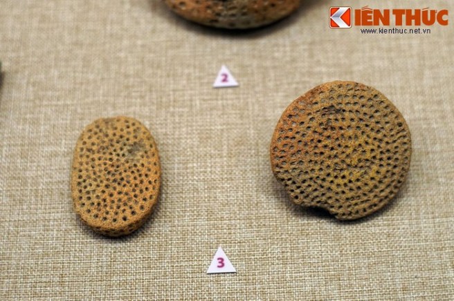 21a4c201be40571e0e51