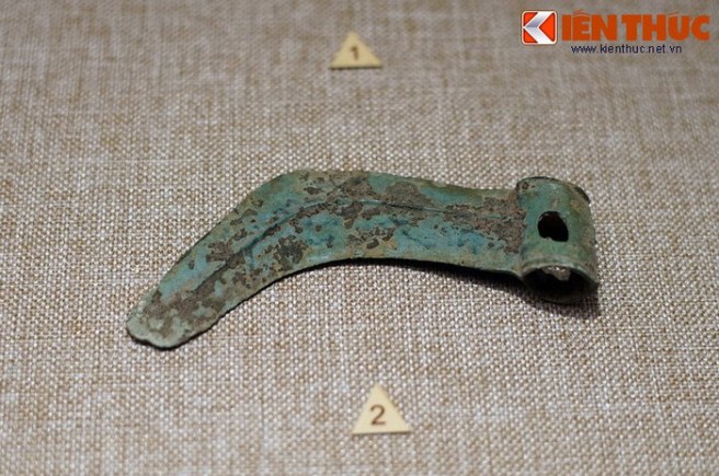 49a95a0d264ccf12965d