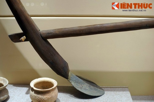 8db5e1119d50740e2d41