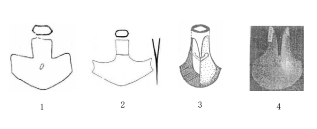 rìu quý châu việt nam